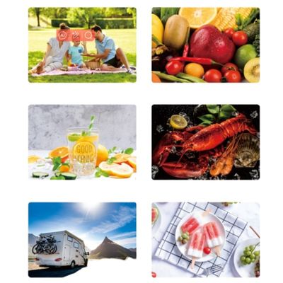 Outdoor Camping Reisauto koelkast met snelle koeling en aanpasbare opties