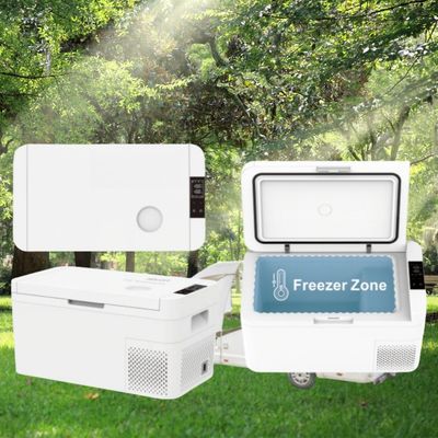 11-20L capaciteit Outdoor Camping Travel Auto koelkasten met snelle koeling en AC adapter